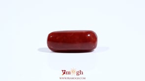 Red Coral - 7.8 Carat