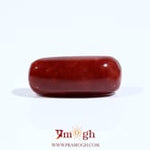 Red Coral - 7.8 Carat
