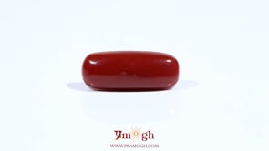 Red Coral - 7.2 Carat