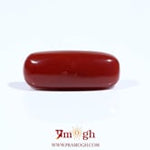 Red Coral - 7.2 Carat