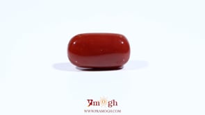 Red Coral - 8.5 Carat