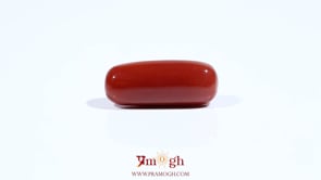 Red Coral - 7.35 Carat