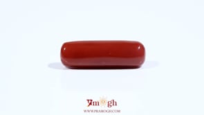 Red Coral - 8.35 Carat