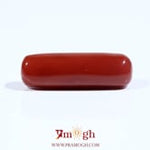 Red Coral - 8.35 Carat