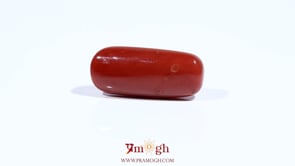 Red Coral - 10 Carat