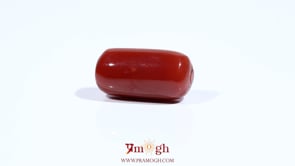 Red Coral - 9.75 Carat