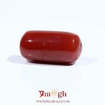 Red Coral - 9.75 Carat