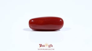 Red Coral - 8.1 Carat