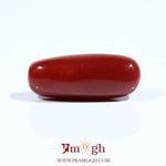 Red Coral - 8.1 Carat