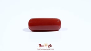 Red Coral - 8.1 Carat