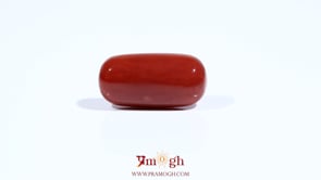 Red Coral - 8.2 Carat
