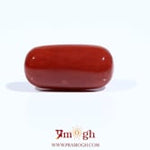 Red Coral - 8.2 Carat