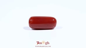 Red Coral - 7.55 Carat