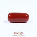 Red Coral - 7.55 Carat