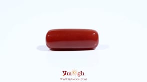 Red Coral - 7.35 Carat