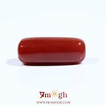 Red Coral - 7.35 Carat