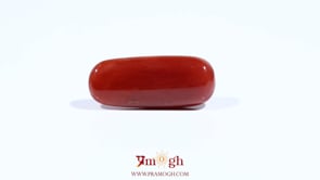 Red Coral - 8 Carat
