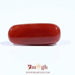 Red Coral - 8 Carat