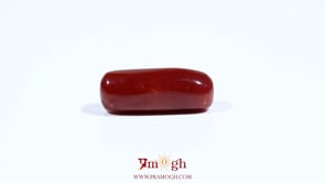 Red Coral - 7.45 Carat