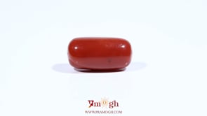 Red Coral - 8.8 Carat