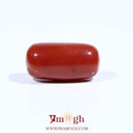 Red Coral - 8.8 Carat