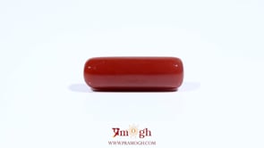 Red Coral - 7.1 Carat