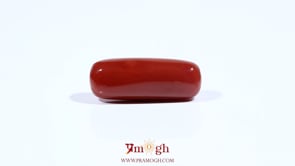 Red Coral - 8.6 Carat