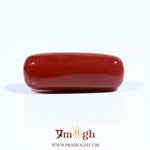Red Coral - 8.6 Carat