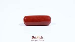 Red Coral - 7.05 Carat