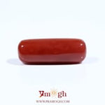 Red Coral - 7.05 Carat