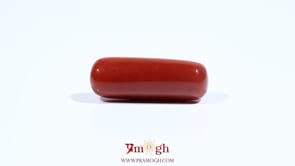 Red Coral - 8.4 Carat