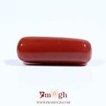 Red Coral - 8.4 Carat