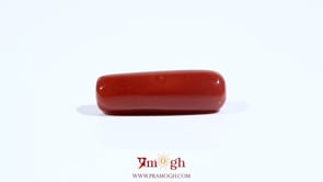 Red Coral - 7.75 Carat