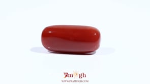 Red Coral - 12.45 Carat