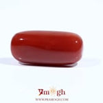 Red Coral - 12.45 Carat