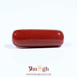 Red Coral - 7.05 Carat