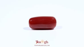 Red Coral - 7.7 Carat