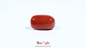 Red Coral - 7.75 Carat