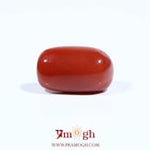 Red Coral - 7.75 Carat
