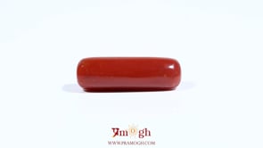 Red Coral - 7.35 Carat