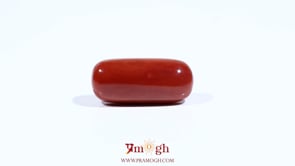 Red Coral - 8.6 Carat