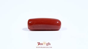 Red Coral - 8.15 Carat