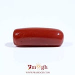 Red Coral - 8.15 Carat