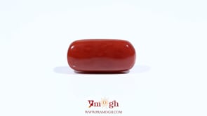 Red Coral - 7.95 Carat