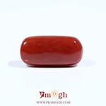 Red Coral - 7.95 Carat