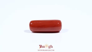 Red Coral - 7.55 Carat