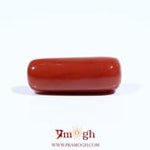 Red Coral - 7.55 Carat