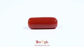 Red Coral - 7.25 Carat