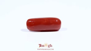 Red Coral - 8.3 Carat