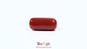 Red Coral - 7.1 Carat